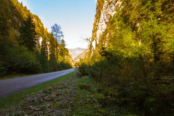 Paisagem montanhosa da Abcásia — Fotografia de Stock