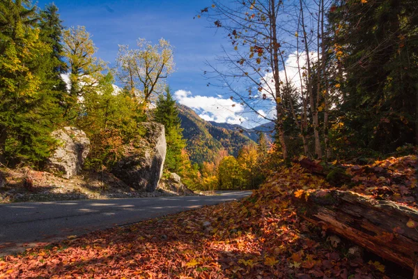 Paysage d'automne Caucase — Photo