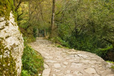 Sonbahar manzara Caucasus