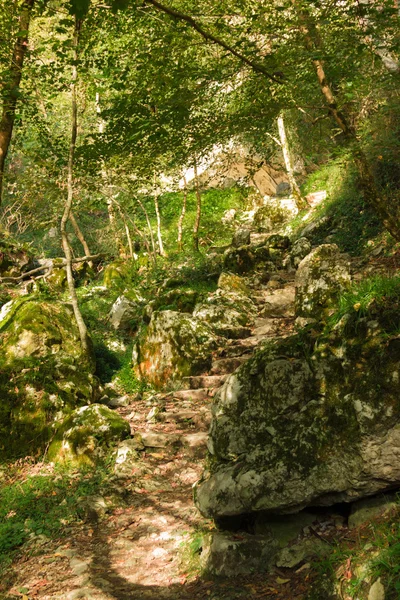 Sonbahar manzara Caucasus