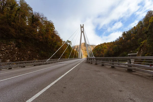 Ponte sobre o rio — Fotografia de Stock