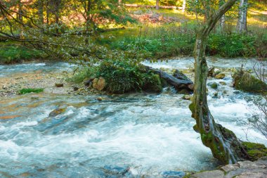 fırtınalı dağ Nehri