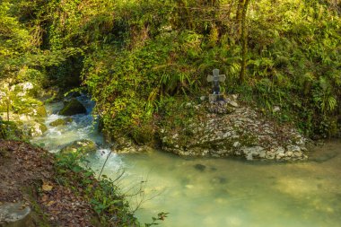 fırtınalı dağ Nehri