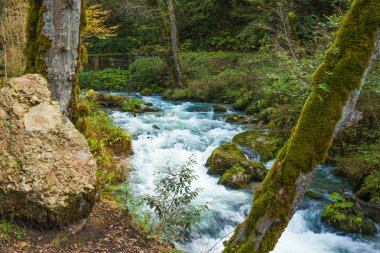 fırtınalı dağ Nehri
