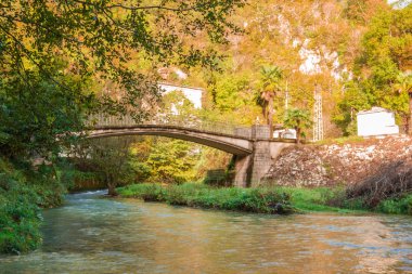fırtınalı dağ Nehri
