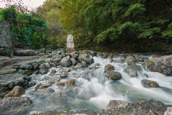 Stormy mountain river — Stock Photo, Image