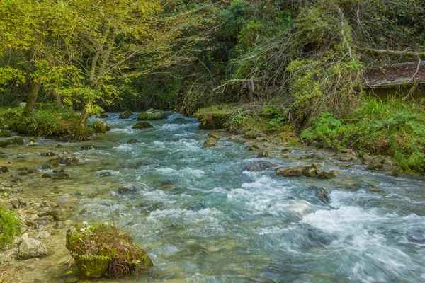 Stormy mountain river — Stock Photo, Image