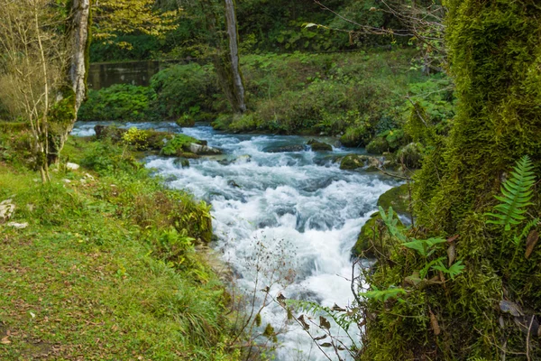 Stormy mountain river — Stock Photo, Image