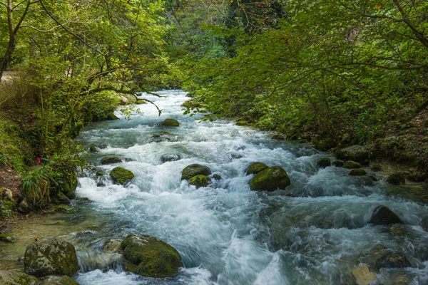Stormy mountain river — Stock Photo, Image