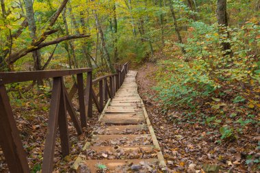 Merdiven bir küpeşte ile