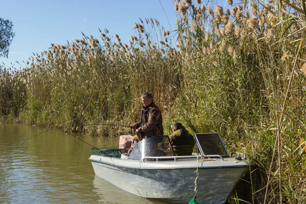 Volga Nehri delta