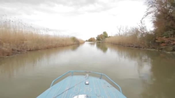 Volga Nehri delta — Stok video