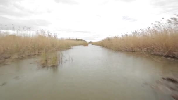 Über den Fluss fliegen — Stockvideo