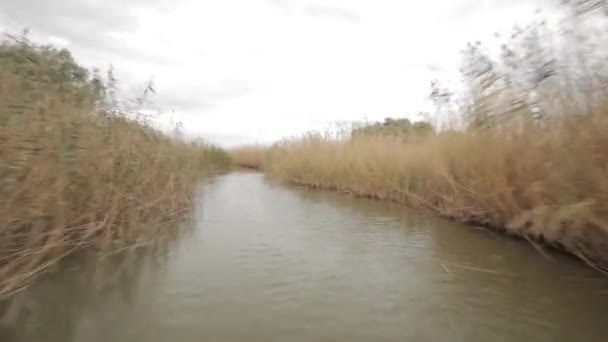 Πετώντας πάνω από τον ποταμό — Αρχείο Βίντεο