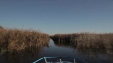 Astrahan Volga Nehri delta