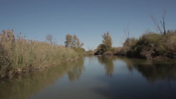 Astrachan de delta van de rivier de Wolga — Stockvideo