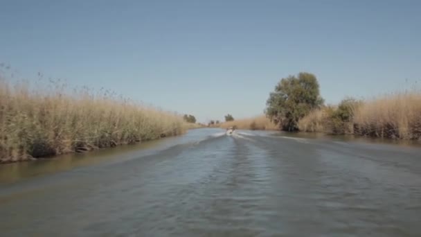 Astracán El delta del río Volga — Vídeos de Stock