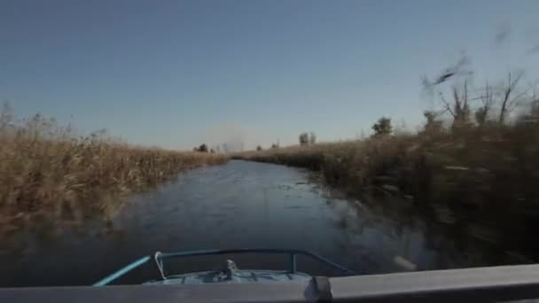 Course de bateau de vitesse à la surface — Video