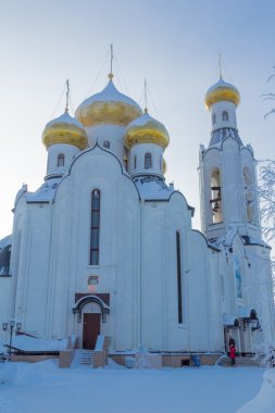 Ortodoks Hıristiyan kiliseleri