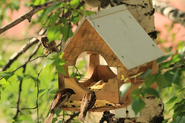 Birdhouse para pássaros — Fotografia de Stock