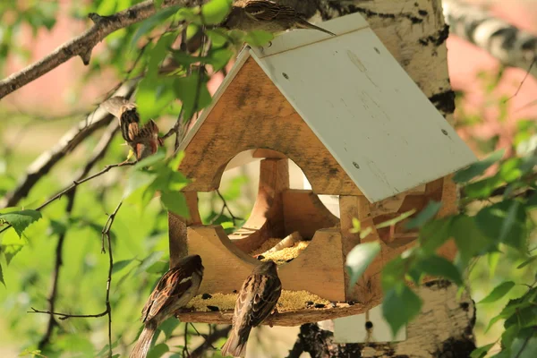 Birdhouse para pássaros — Fotografia de Stock