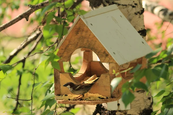 Birdhouse pour oiseaux — Photo