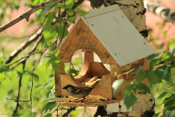 Birdhouse pour oiseaux — Photo