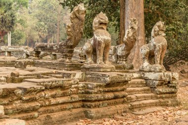 Kamboçya, Angkor arkeolojik Park