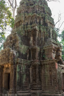 Kamboçya, Angkor arkeolojik Park 