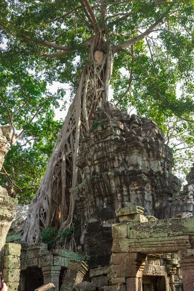 柬埔寨、 吴哥考古公园 — 图库照片