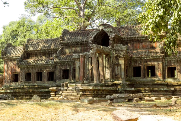 앙코르 고고학 공원, 캄보디아 — 스톡 사진