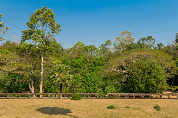 Orman üzerinde bölge, Lame Angkor Wat — Stok fotoğraf
