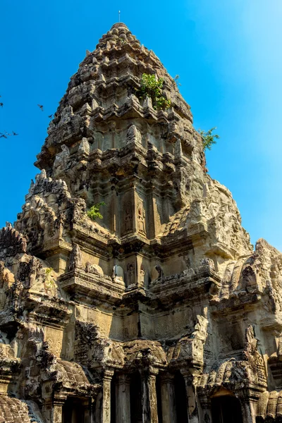 Cambogia, Parco archeologico di Angkor — Foto Stock