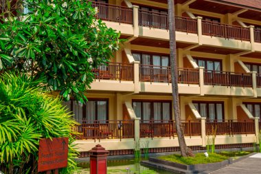 Su, çiçek açan nilüferler 