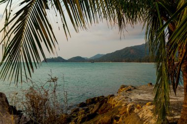 Düşük tide denizde  