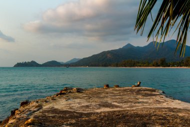 Düşük tide denizde  