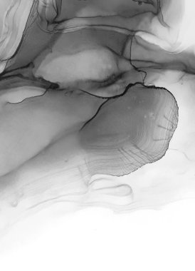 Tek renkli Alkol Mürekkebi. Platinyum Ev Yapımı Banner. Soyut Efekt. Dekorasyon tasarımı için gri tonlu suluboya ile klasik çizim. Modern sanat. Gümüş lekeli yüzey. Soyut yazdırma.