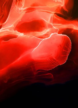 Moda tasarımı için modern yaratıcı suluboya arka plan. Renkli Modern Tasarım Sanatı. Alkol mürekkebi. Sofistike bir arka plan. Renkli Dijital Sıçrama. 