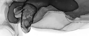 Tek renkli mürekkep sıvısı. Gouache 'nin gölgesi. Soyut baskı. Dekorasyon tasarımı için gri tonlu suluboya ile klasik çizim. Modern sanat. Gümüş lekeli yüzey. Soyut yazdırma.