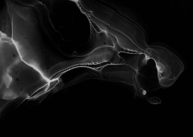 Boho monokrom mürekkebi için sıvı. Gouache 'nin gölgesi. Soyut baskı. Tekstil tasarımı için gri tonlu suluboya ile modern illüstrasyon. Gümüş lekeli yüzey. Soyut yazdırma.