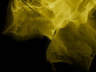 Moda tasarımı için modern yaratıcı suluboya arka plan. Renkli soyut resim arkaplanı. Alkol mürekkebi. Sofistike bir arka plan. Renkli Dijital Sıçrama. 