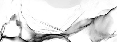Tek renkli mürekkep sıvısı. Gouache 'nin gölgesi. Soyut baskı. Dekorasyon tasarımı için gri tonlu suluboya ile klasik çizim. Modern sanat. Gümüş lekeli yüzey. Soyut yazdırma.
