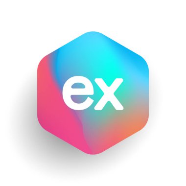 Altıgen şekilli ve renkli arkaplan içinde EX logosu, iş ve şirket kimliği için harf birleşimi logosu tasarımı.