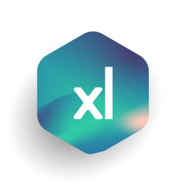 Altıgen şekilli XL logosu ve renkli arkaplan, iş ve şirket kimliği için harf kombinasyonu logosu tasarımı.