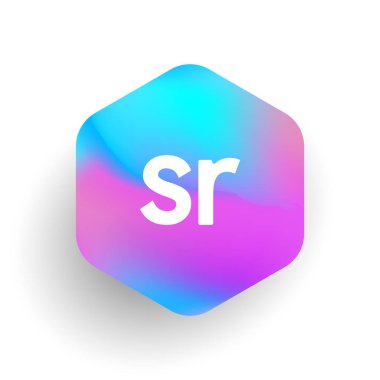 Altıgen şekilli SR logosu ve renkli arkaplan, iş ve şirket kimliği için harf kombinasyonu logosu tasarımı.