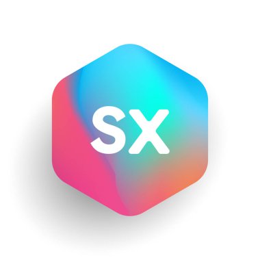 Altıgen şekilli SX logosu ve renkli arkaplan, iş ve şirket kimliği için harf kombinasyonu logosu tasarımı.