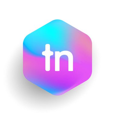 Altıgen şekilli TN logosu ve renkli arkaplan, iş ve şirket kimliği için harf kombinasyonu logosu tasarımı.