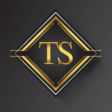 Kare şeklinde altın ve gümüş renkli geometrik süslemeli TS Harfi logosu. İş veya şirket kimliğiniz için vektör tasarımı şablonu ögeleri.