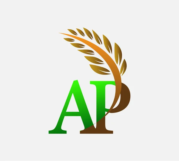 首字母标识Ap 农业小麦标识模板矢量图标设计绿色和棕色 — 图库矢量图片
