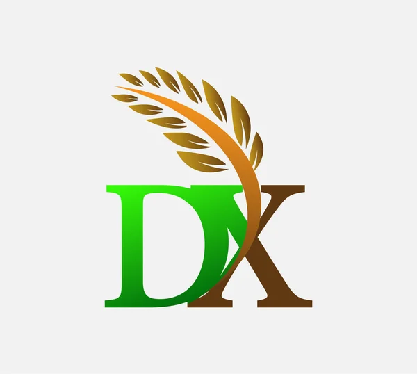 初期の文字のロゴDx 農業小麦のロゴテンプレートのアイコンのデザインの色緑と茶色 — ストックベクタ